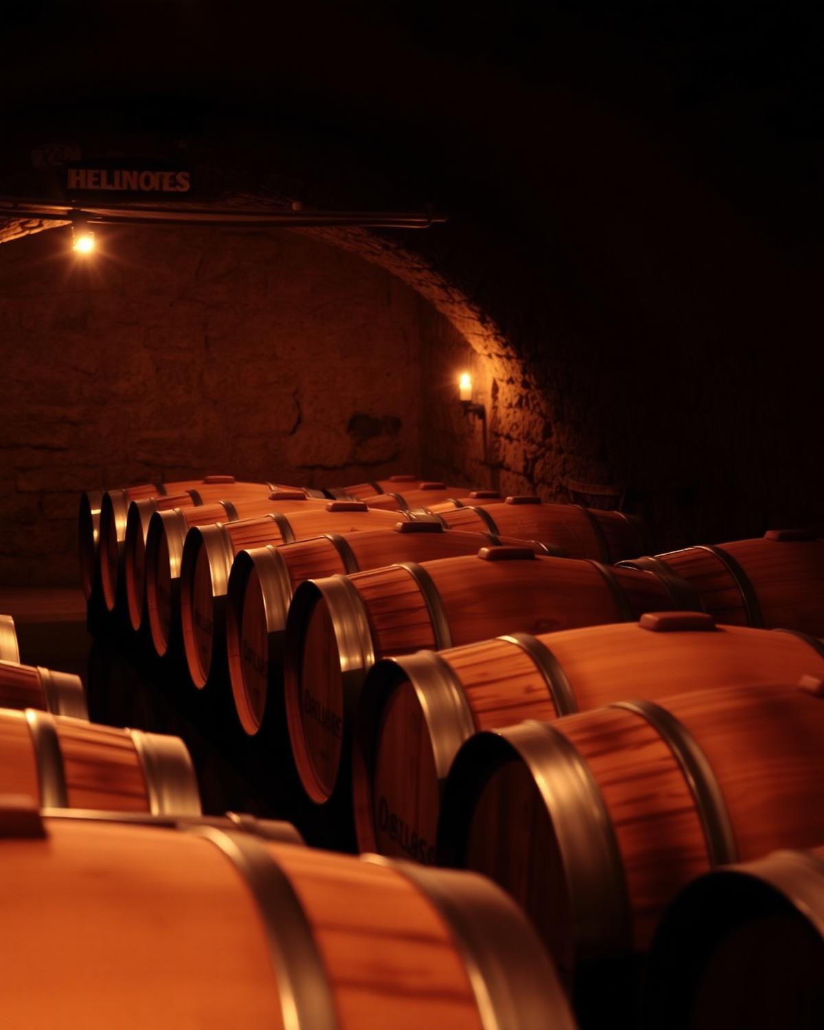 Botti di rovere per l'affinamento del vino toscano venduto da VINITO Calenzano